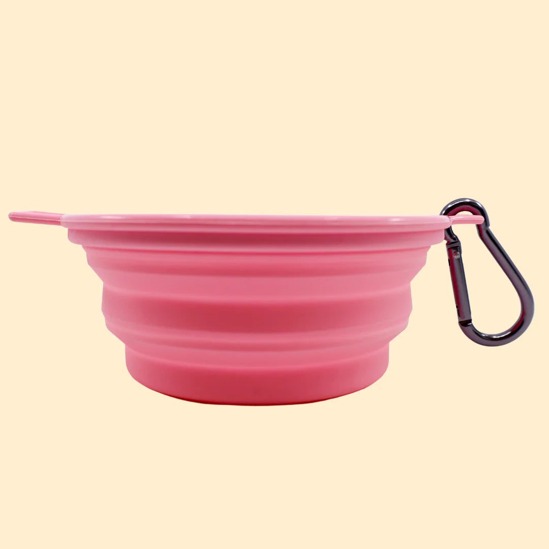 Collapsible Dog Water Bowl