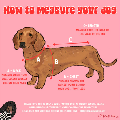 Lime Check Check Adjustable Harness