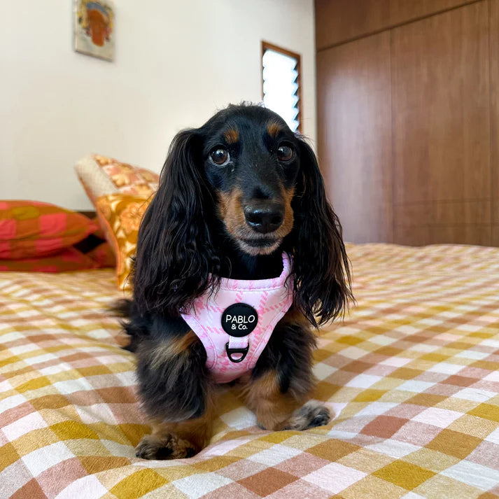 Pink Houndstooth Adjustable Harness