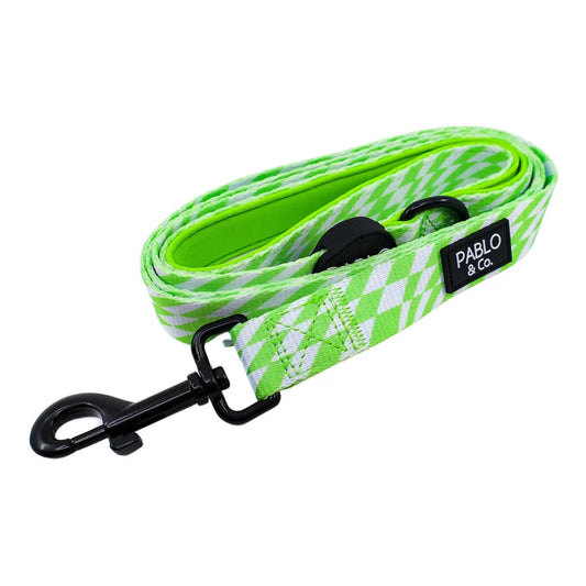 Lime Check Check Dog Leash