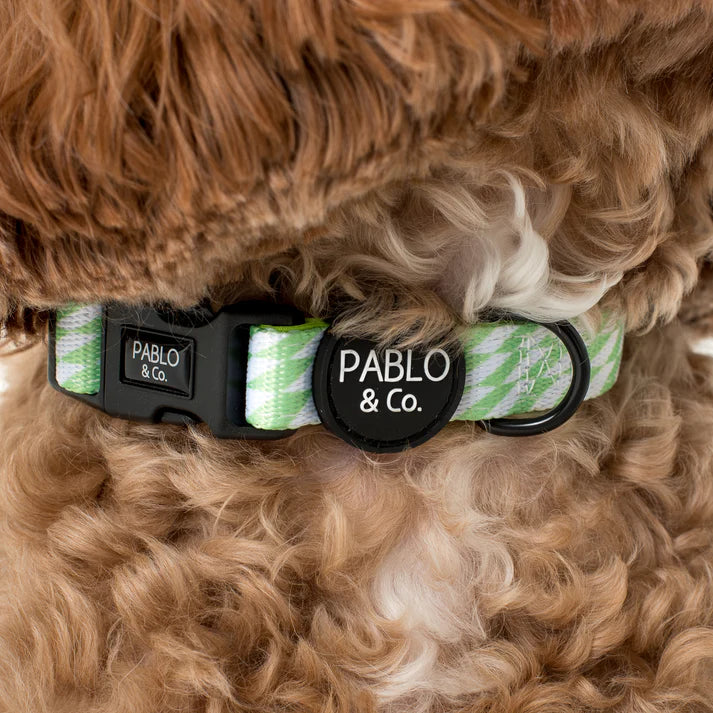 Lime Check Check Collar