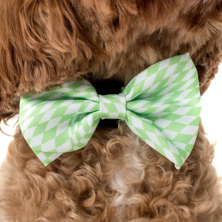 Lime Check Check Bow Tie