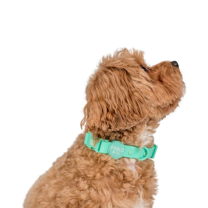 Peppermint Waterproof Collar