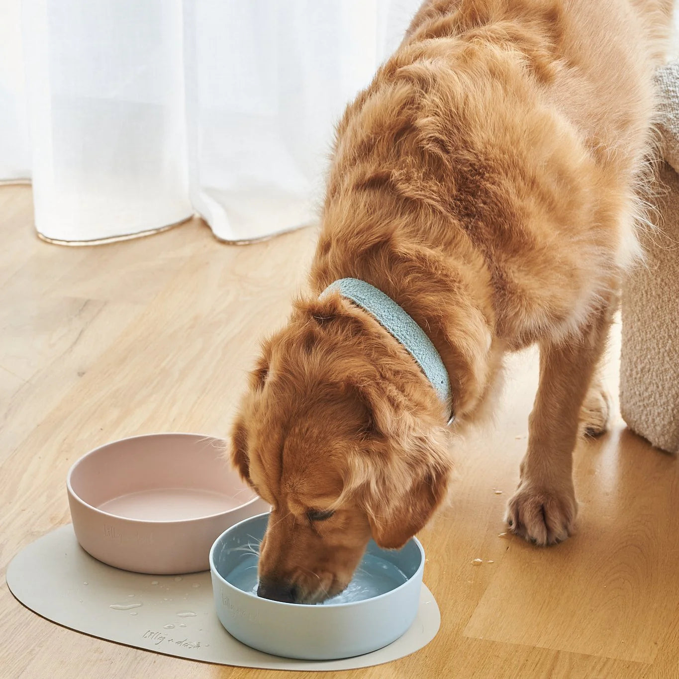 Large Pet Bowl