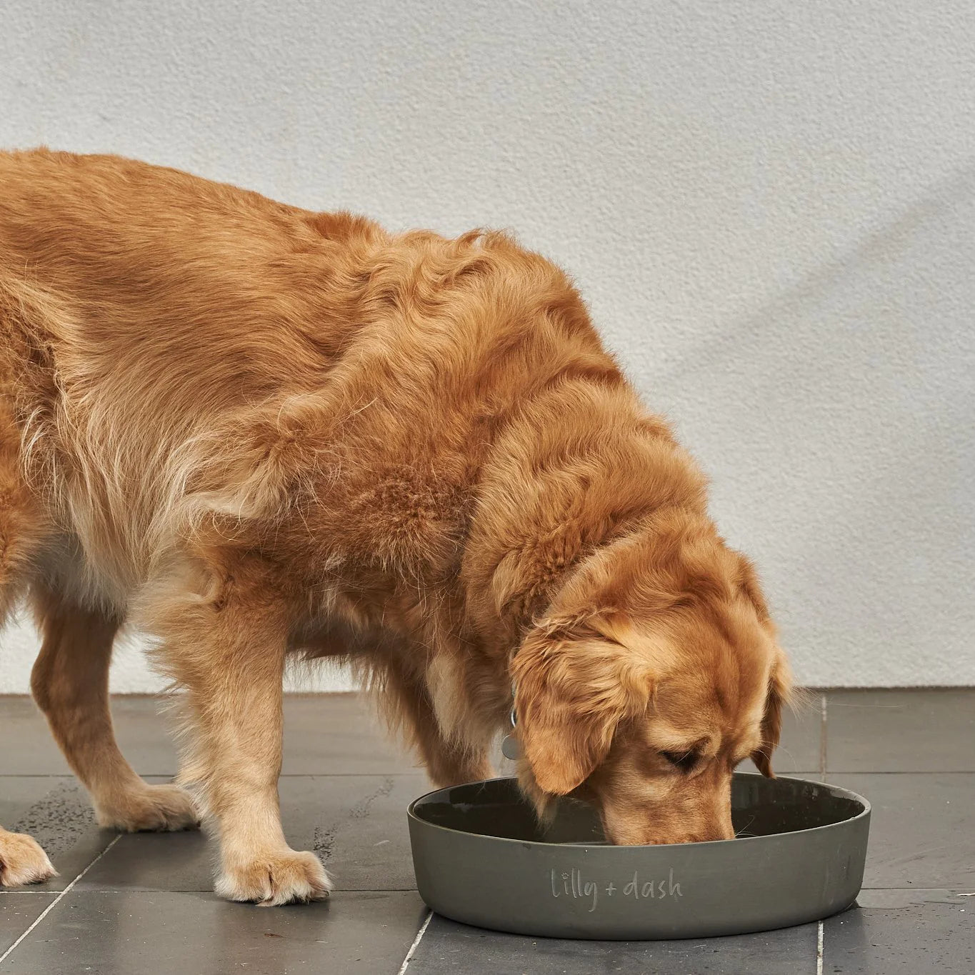 Outdoor Water Bowl