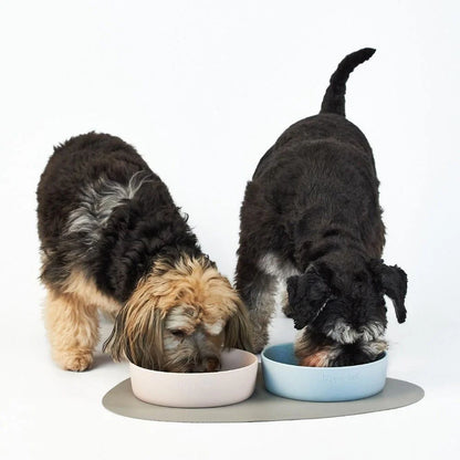 Pet Bowl Placemat